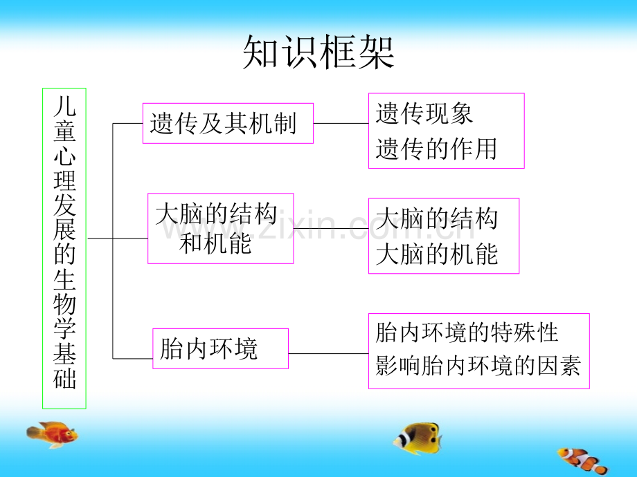 第二章-儿童心理发展的生物学基础.pptx_第2页