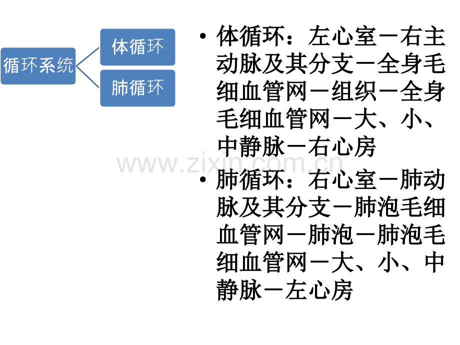 新生儿循环系统疾病的护理.pptx_第3页