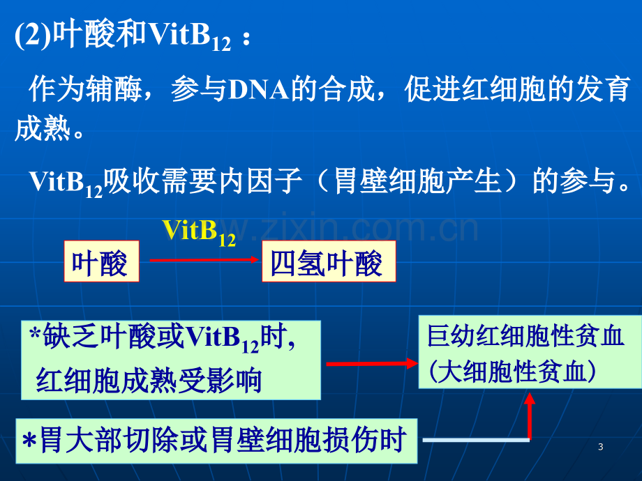 细胞的血型和血细胞.pptx_第3页