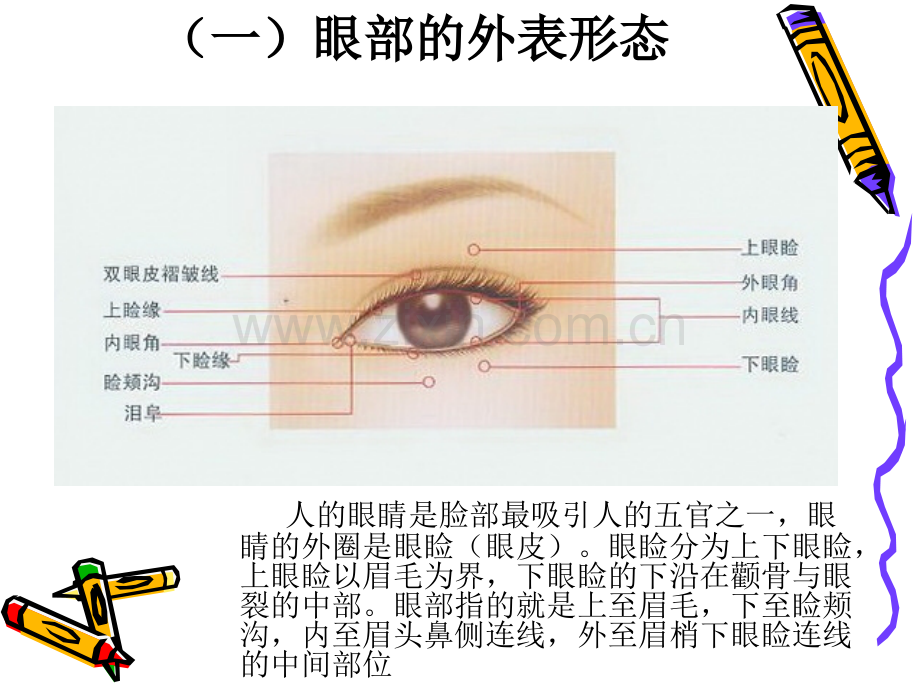 眼部化妆技巧1.pptx_第2页