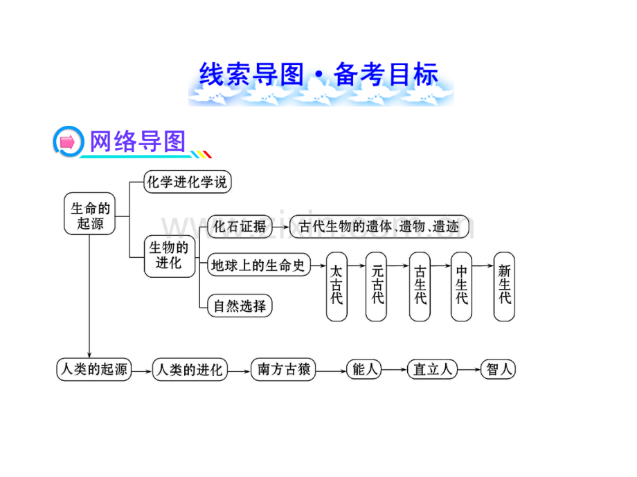 生命的起源和进化的复习.pptx_第2页