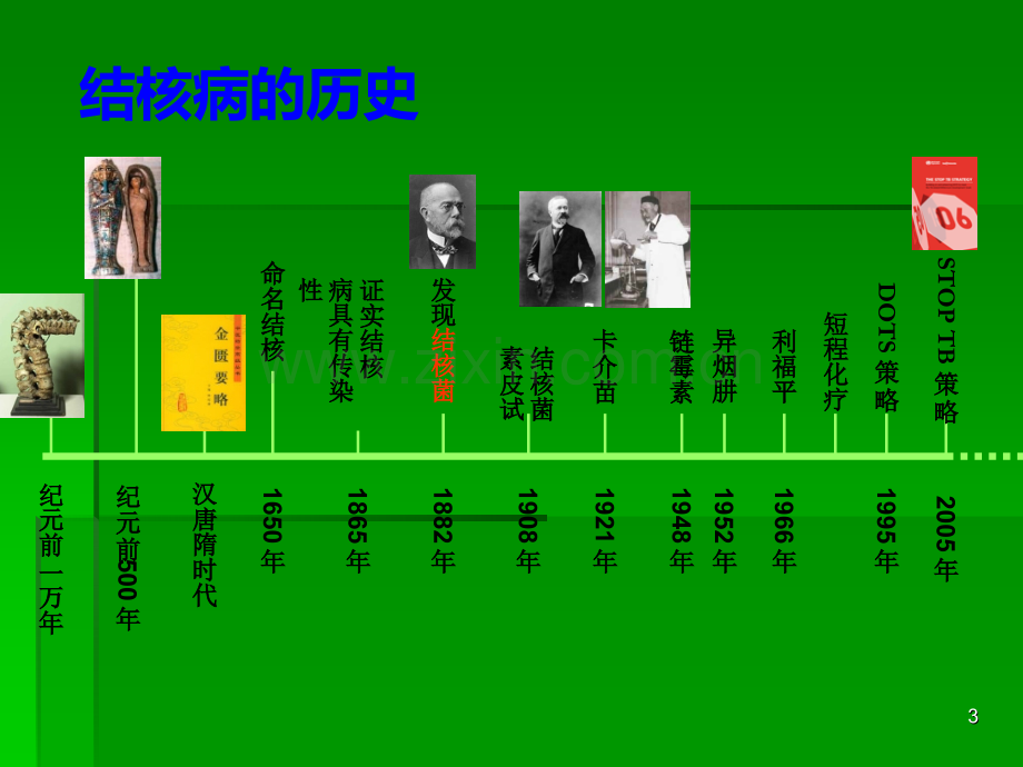 学校结核病防治与管理-ppt课件.pptx_第3页