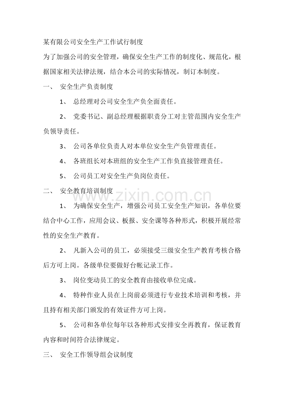 某有限公司安全生产工作试行制度.docx_第1页