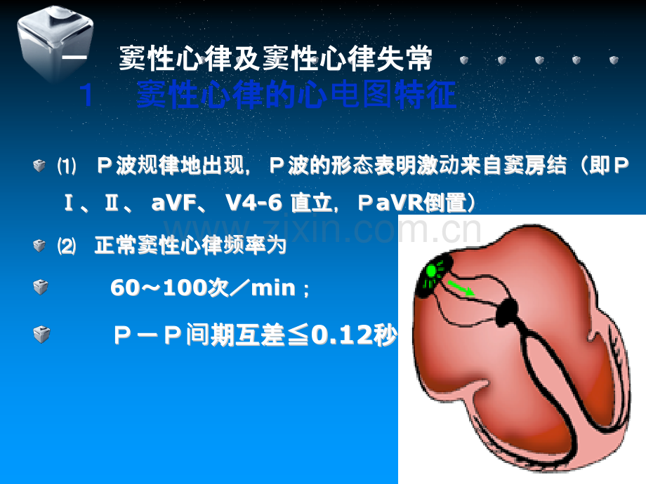 心电图学ppt课件.ppt_第2页