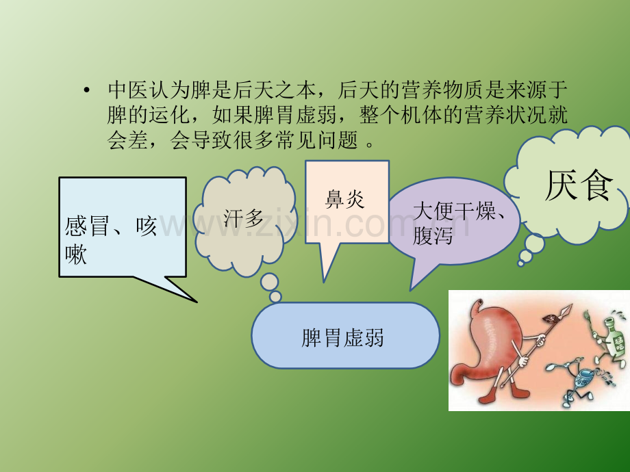 小儿调养脾胃注意事项及常用药膳ppt课件.pptx_第3页