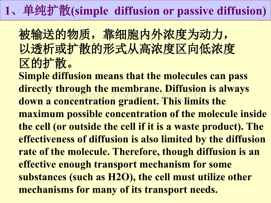 微生物吸收营养物质的方式单纯扩散.pptx_第2页