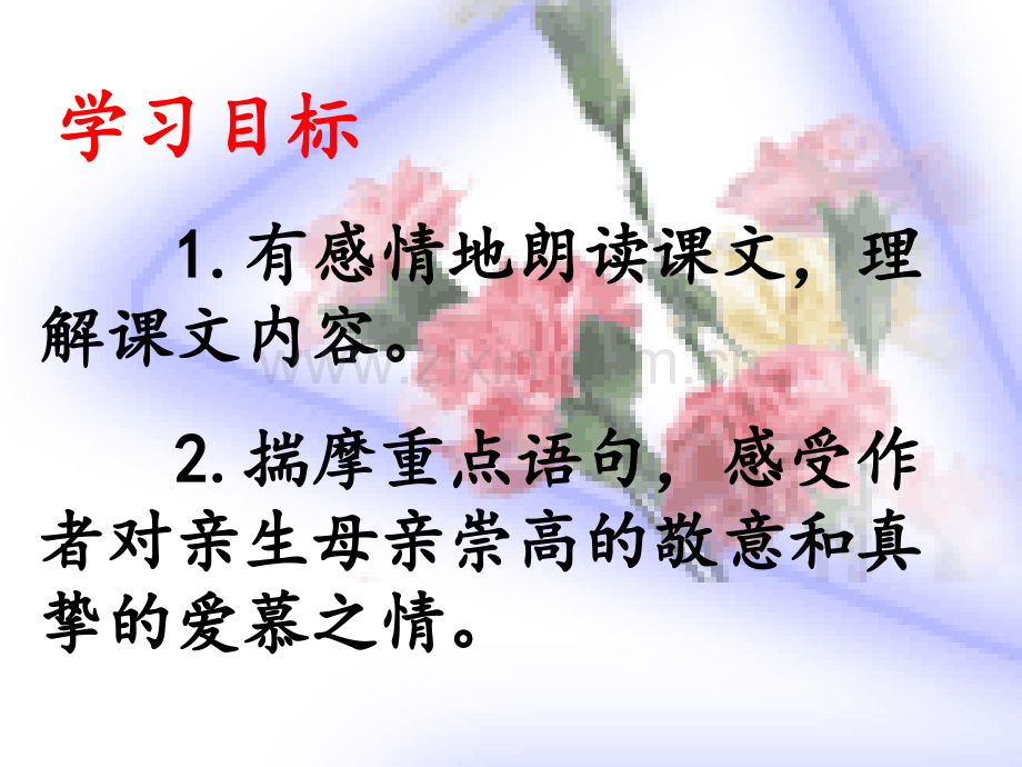 怀念母亲.ppt.pptx_第3页