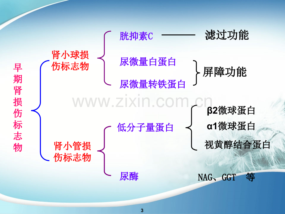 特色检验肾损八项.pptx_第3页