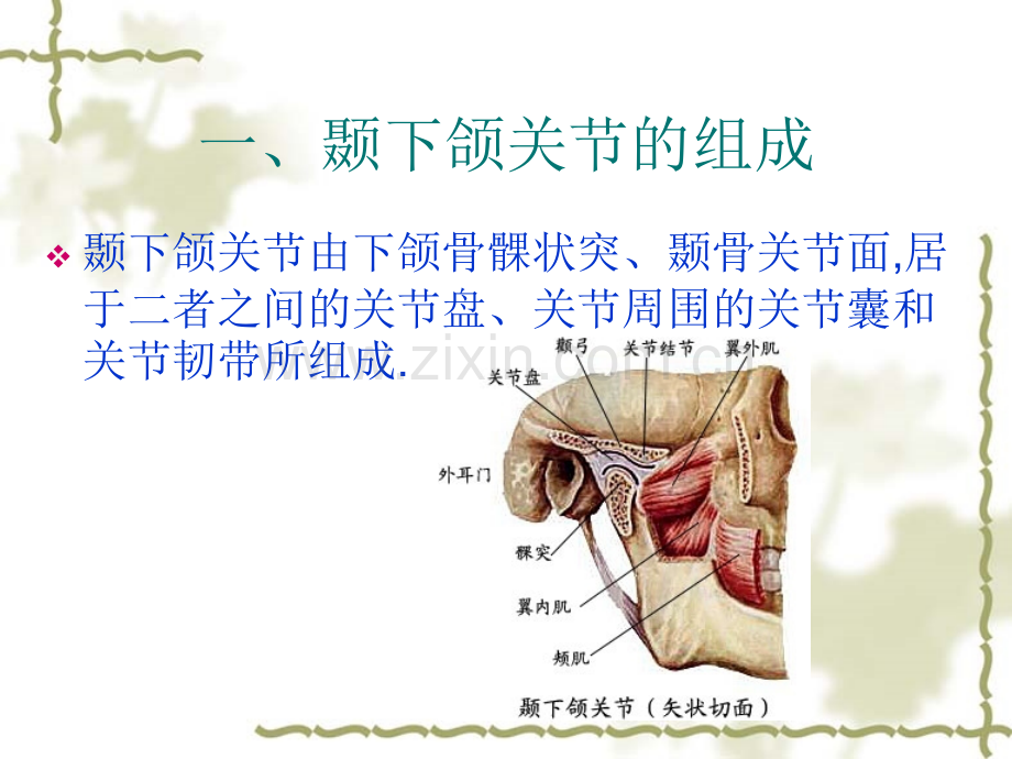 口腔颌面局部疾病系统解剖图解.pptx_第2页