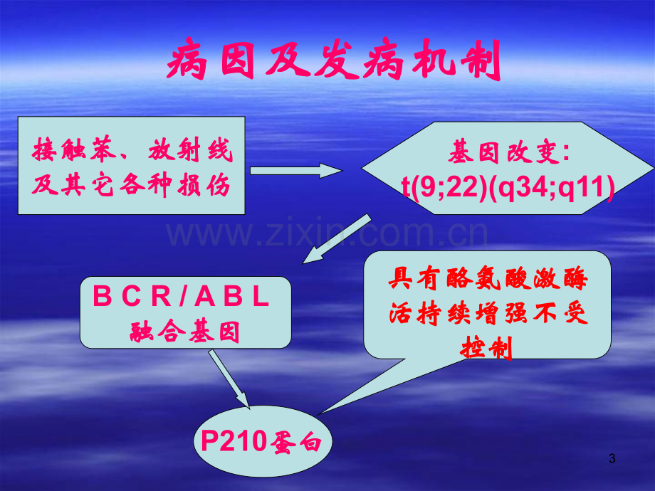 慢性粒细胞白血病及.pptx_第3页