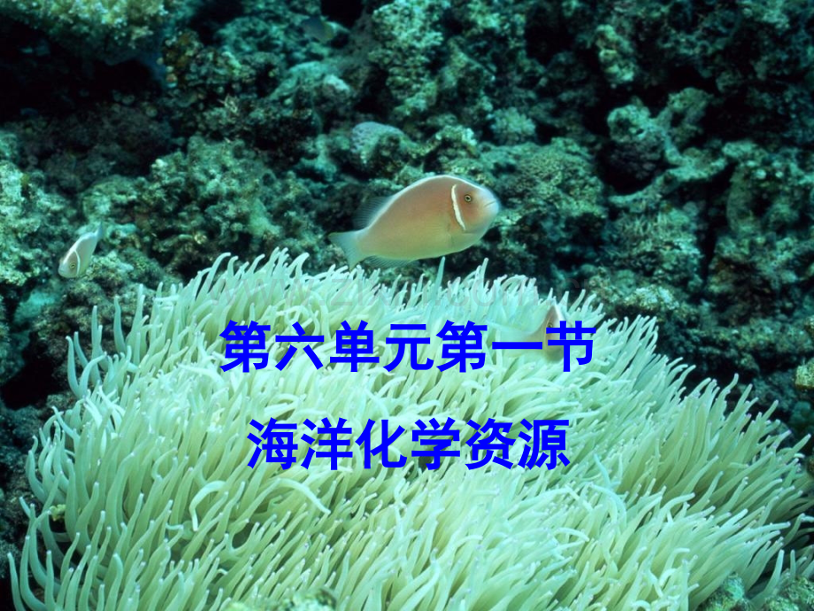 初中化学海洋化学资源.pptx_第1页