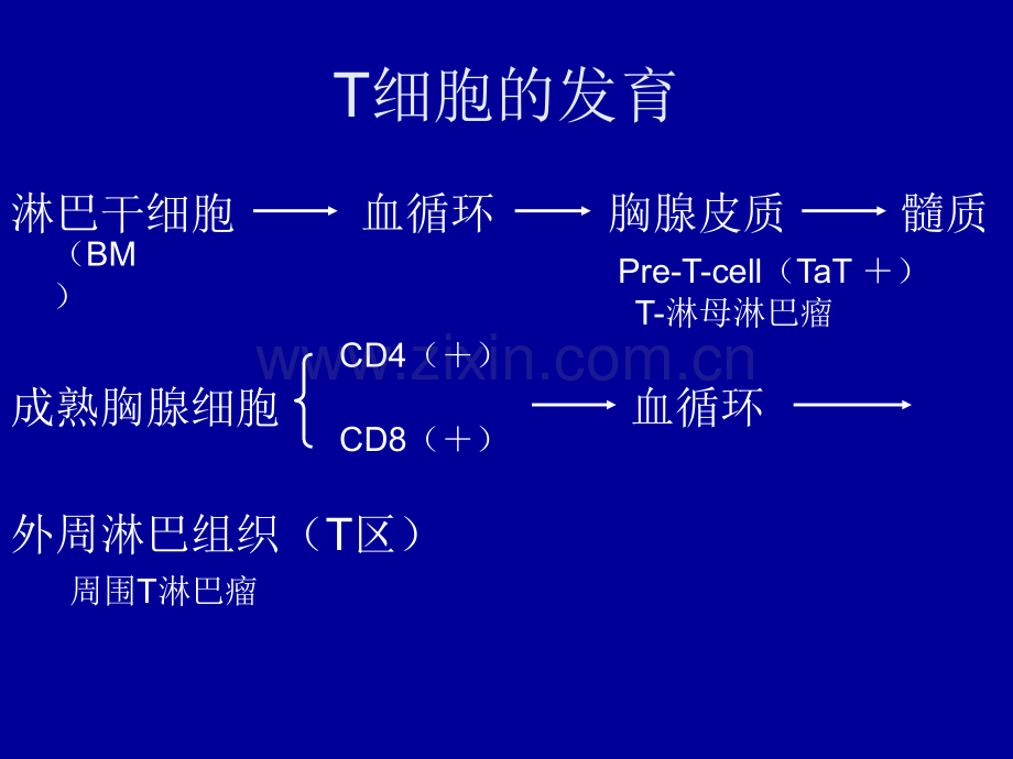 恶性淋巴瘤治疗进展.pptx_第3页