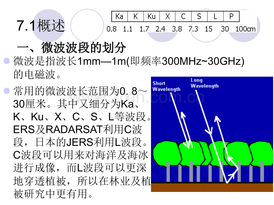 微波遥感.pptx_第2页