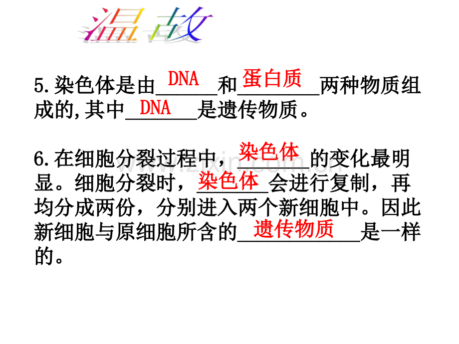 动物体的结构层次公开课.pptx_第2页