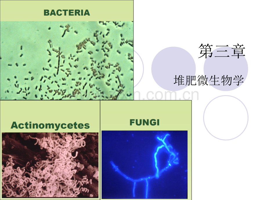 堆肥科学与技术.pptx_第1页