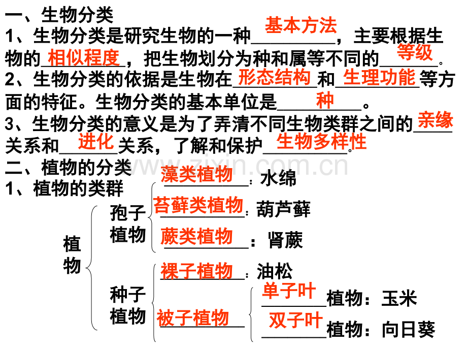 尝试对生物进行分类课件.pptx_第2页