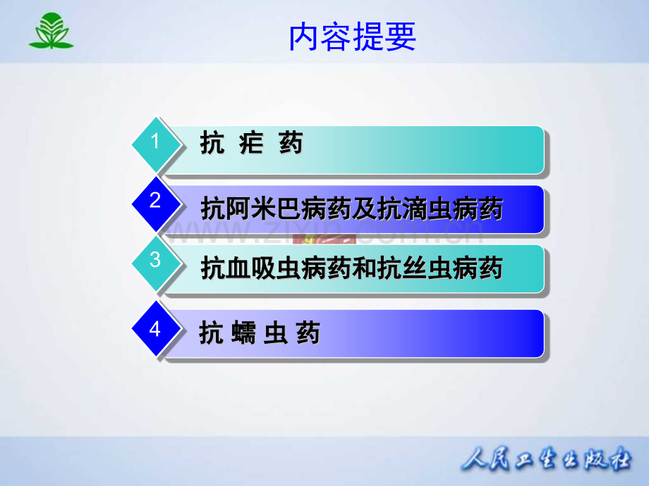 常见疾病治疗药物介绍——--抗寄生虫药.pptx_第2页