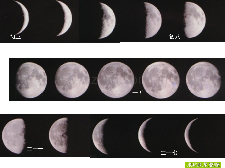 六年级下册科学模板.pptx_第2页