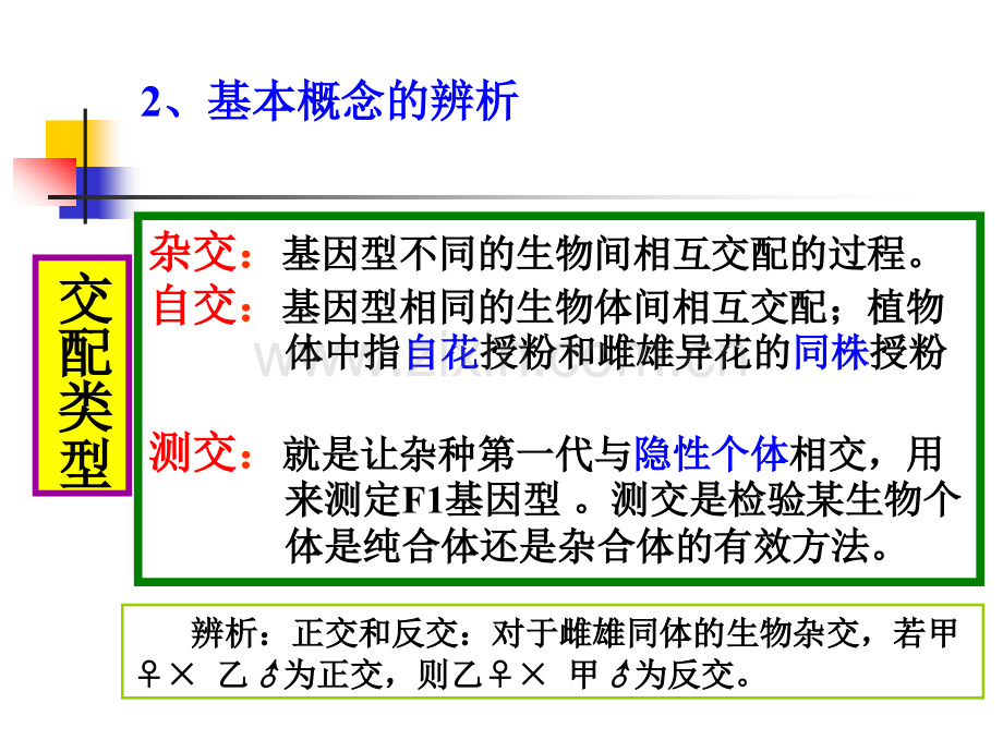 孟德尔分离定律解法分析.pptx_第2页