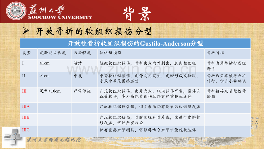 接骨板一期固定ⅲa型尺桡骨开放性骨折.pptx_第2页