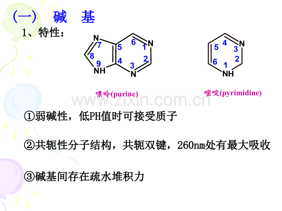 分子生物学基础知识.pptx_第3页