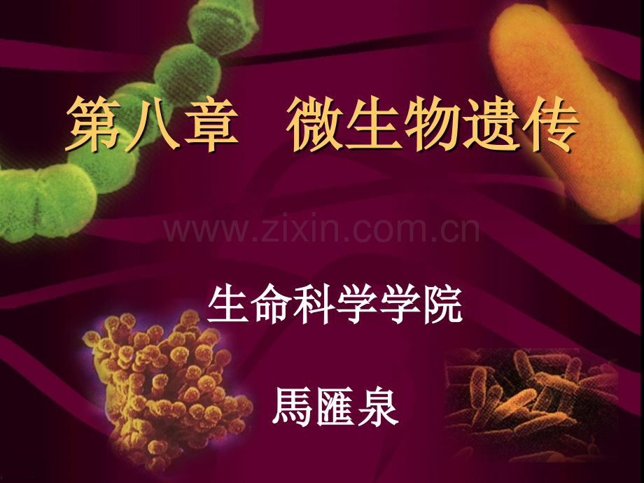 微生物学微生物遗传.pptx_第1页