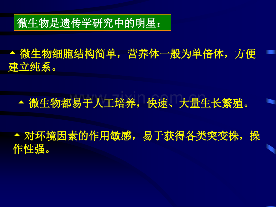 微生物学微生物遗传.pptx_第2页