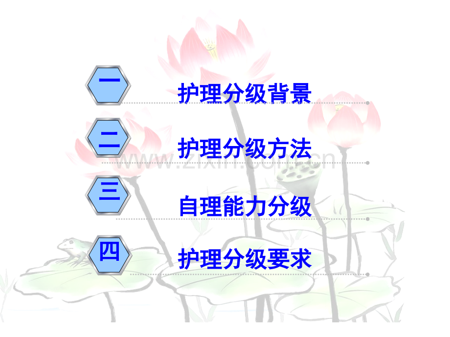 护理分级解读.pptx_第3页