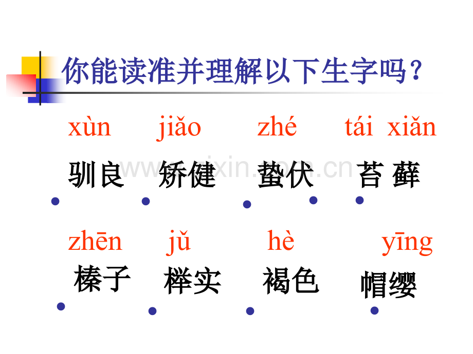 小学语文五年级上册1松鼠.pptx_第3页