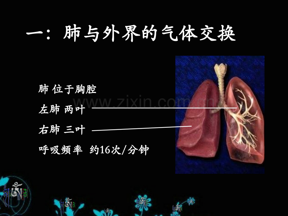 初中生物七下432发生在肺内气体交换最终定稿.pptx_第2页