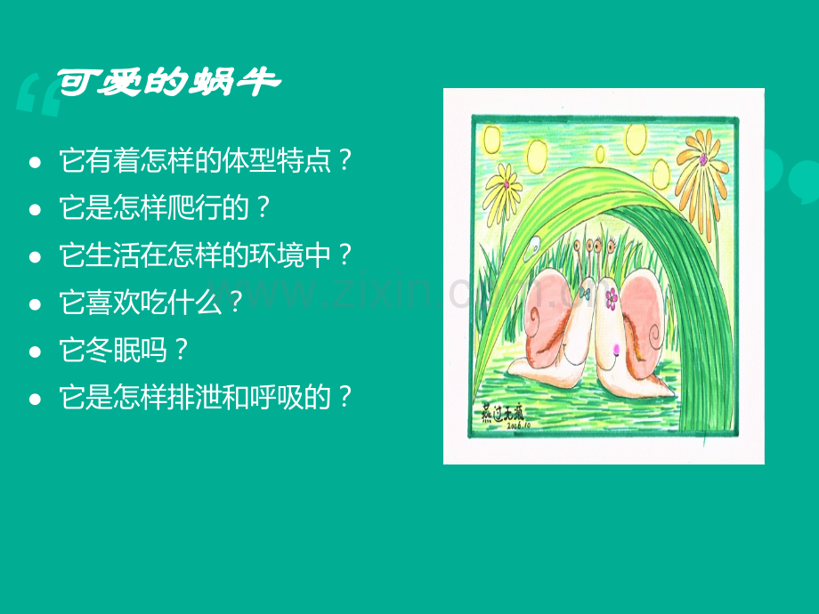 小学三年级科学上册蜗牛一.pptx_第2页