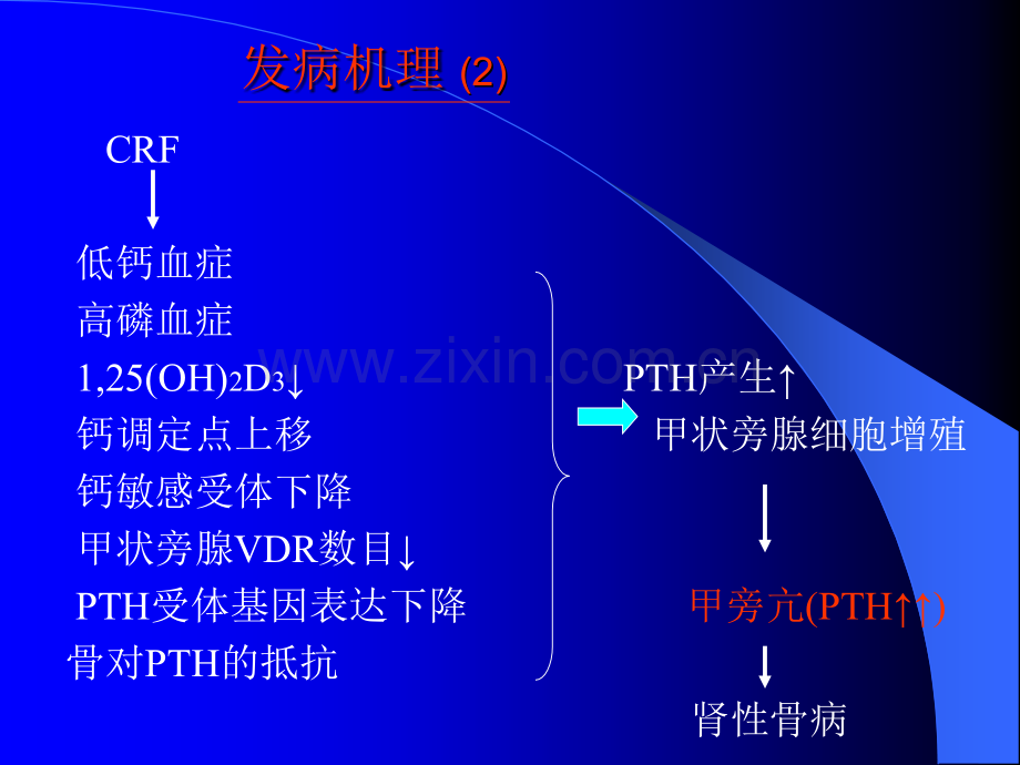 慢性肾衰患者甲旁亢的治疗.pptx_第3页