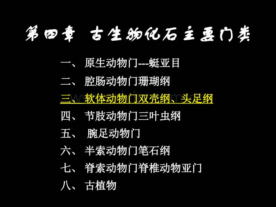 古生物的主要门类软体动物.pptx_第1页