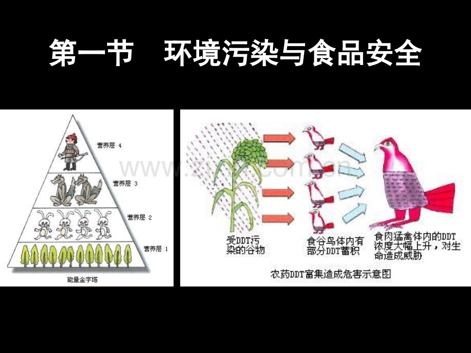 化学性物质与食品安全.pptx_第1页