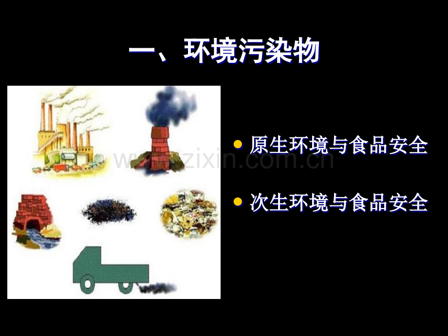 化学性物质与食品安全.pptx_第2页