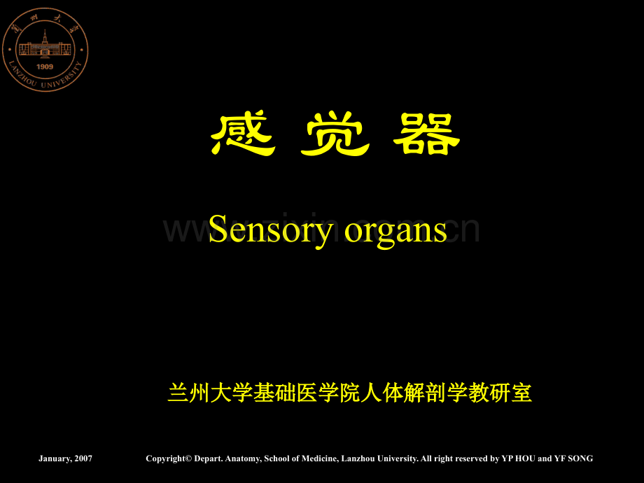 感觉器总论视器.pptx_第1页