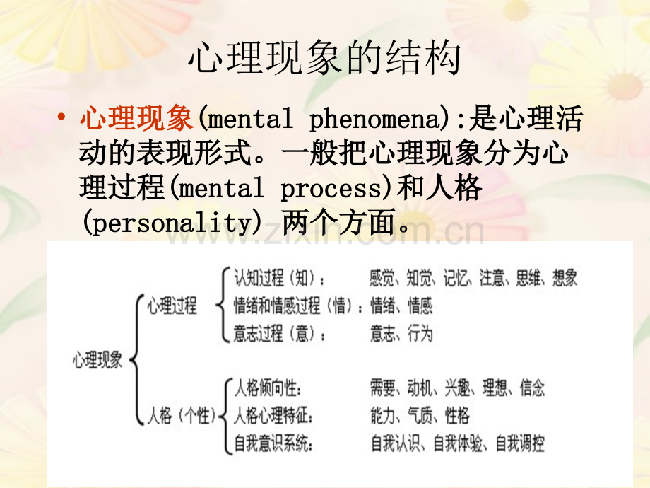 心理学基础.pptx_第2页