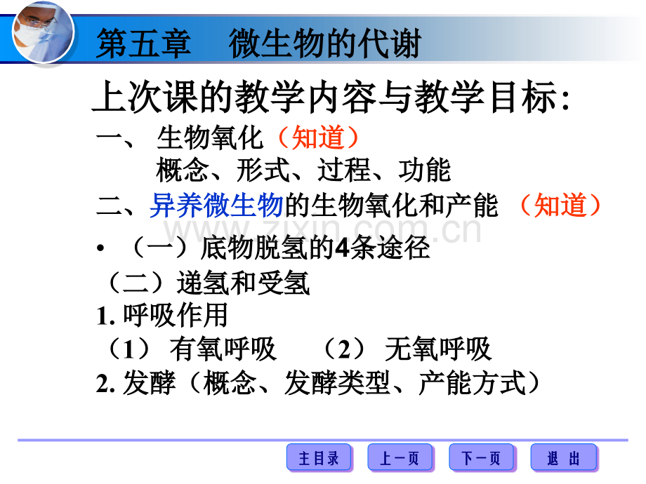 微生物代谢22学时.pptx_第1页