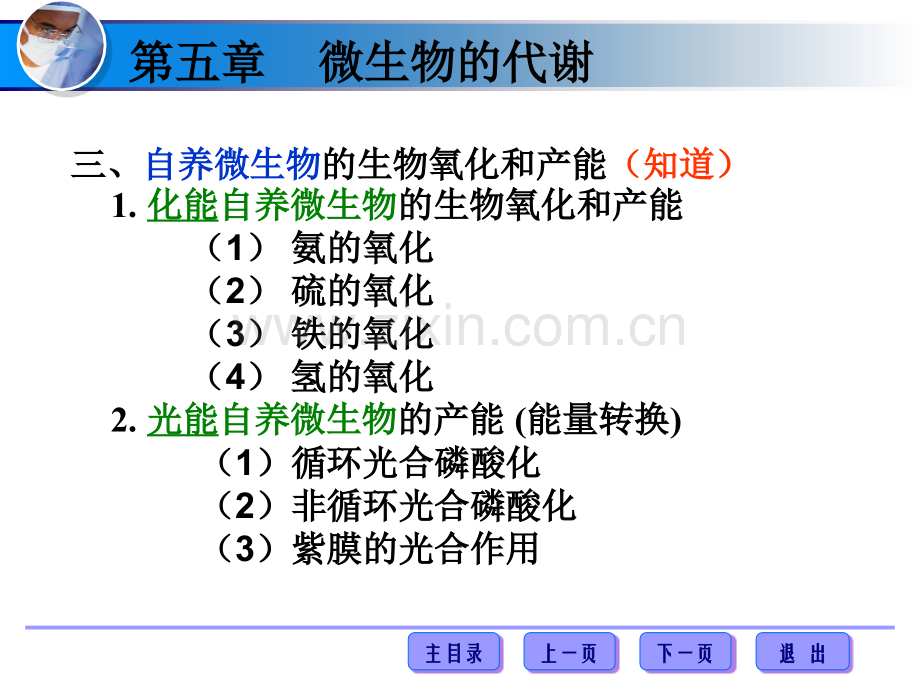 微生物代谢22学时.pptx_第2页