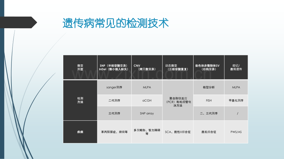 儿童遗传病诊断策略及案例分享.pptx_第2页