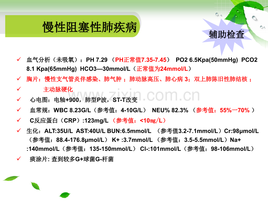 慢性阻塞性肺疾病的治疗.pptx_第3页