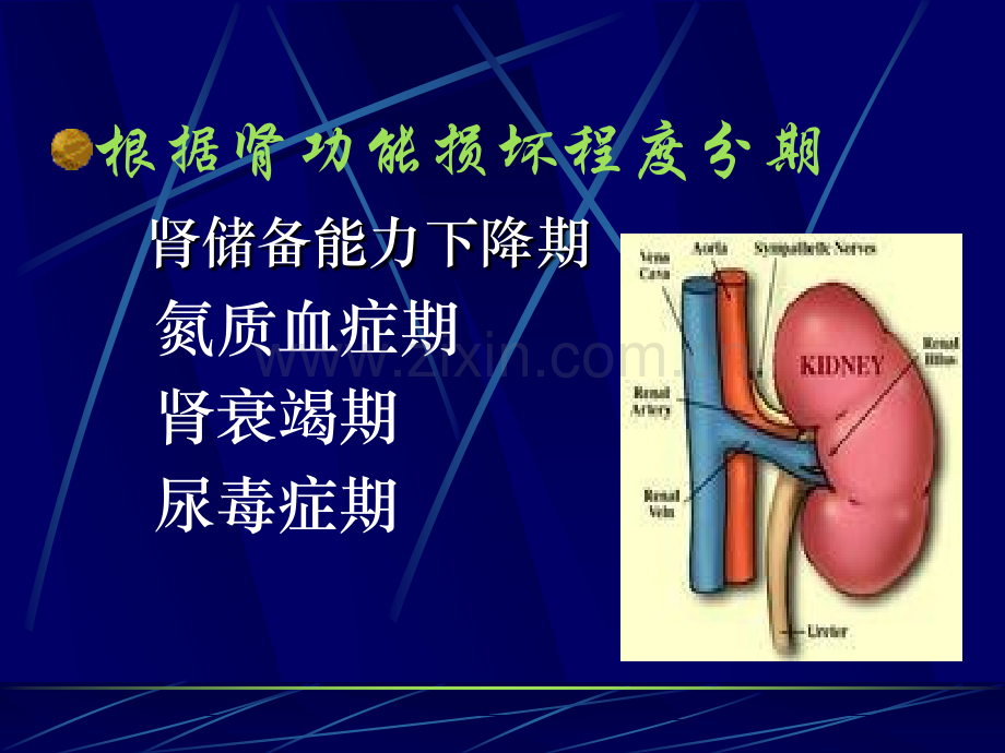 慢性肾衰竭精.pptx_第3页