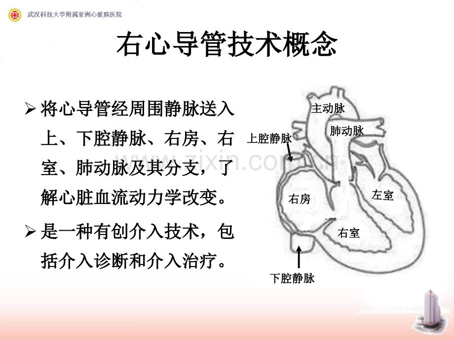 右心导管检查及心血管造影.pptx_第1页