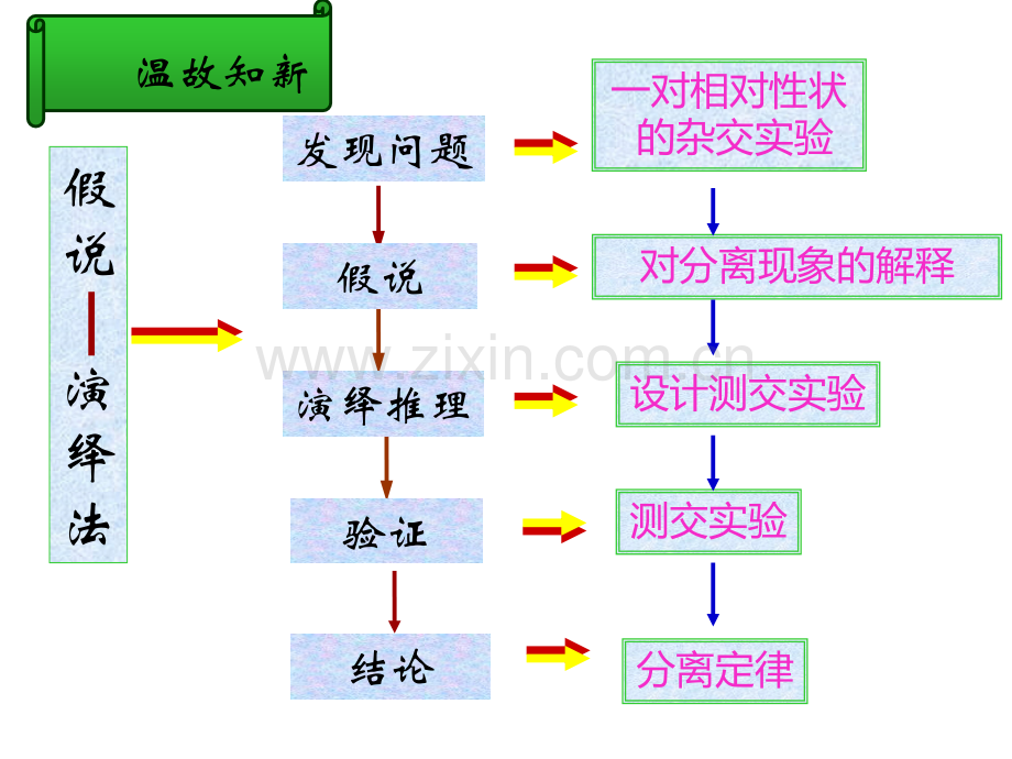 孟德尔的豌豆杂交实验(二)--经典.pptx_第2页