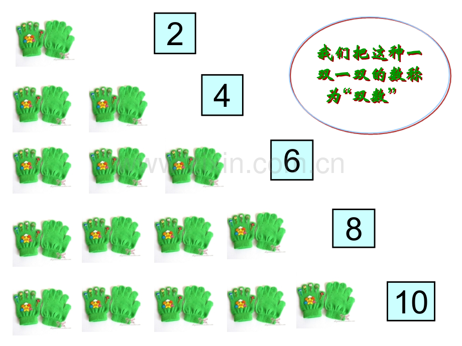 单双数教学.pptx_第2页