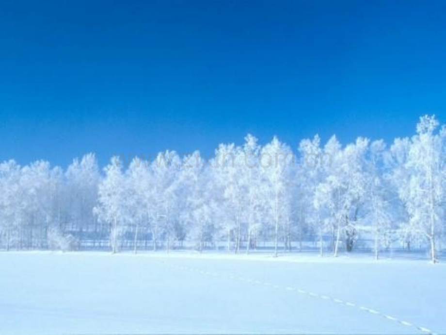 小学语文一年级上册《雪地里小画家.pptx_第3页