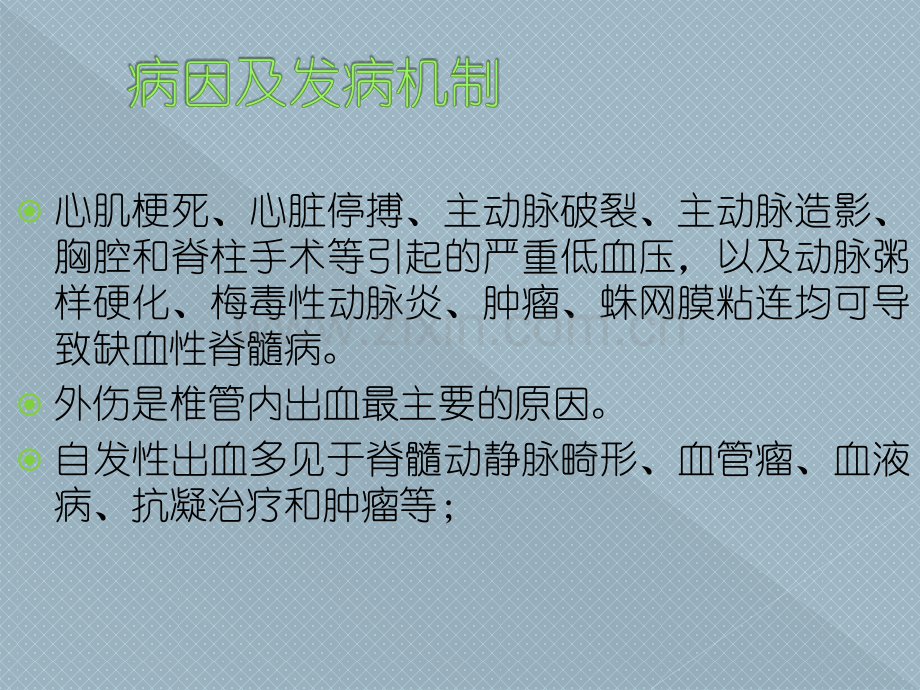 广中医神经内科脊髓血管疾病.pptx_第2页