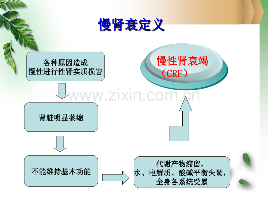 慢肾衰中医护理查房.pptx_第3页