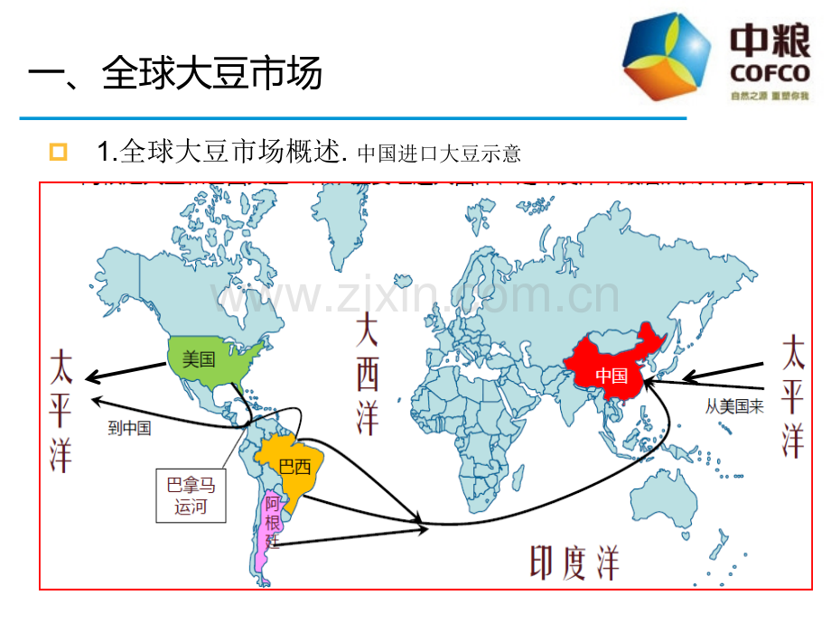 大豆国际贸易实务.pptx_第3页