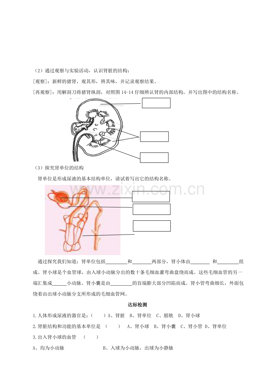 八年级生物上册-162-人体内废物的排出学案1无答案新版苏科版.doc_第2页